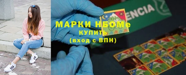 дурь Каменка