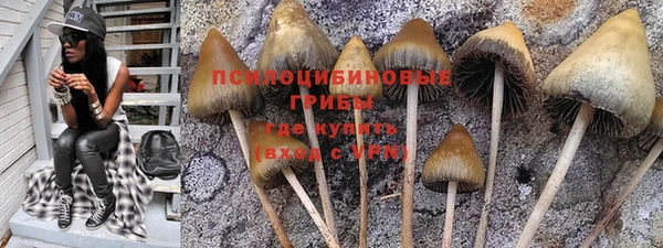 марки lsd Каменногорск