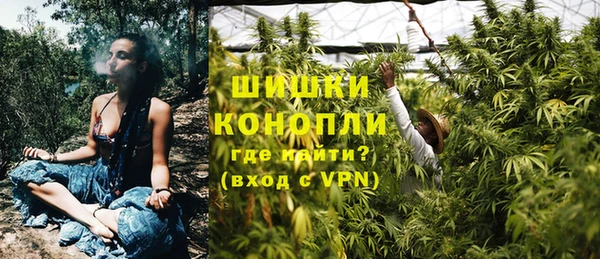 дурь Каменка